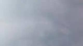 البروستات ضيق الهرة الناضجة الفرنسي