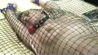 ساره المراهقة في ماراثون جنسي صريح