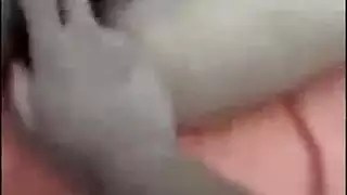 شاب عربي سمين يستمتع بجلسة مص مكثفة لقضيبه