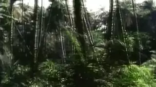 معجبة مهووسة تئن وأخوها يشاهد فيلم جنسي صريح