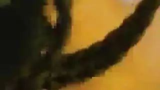 مشهد علن xxx: وجه مغطى بالثدي والمني