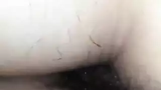 لقطات قضيب عملاق مأدوة بصرية صريحة
