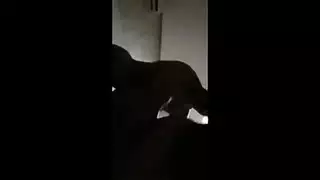 سكس مغربية جديد