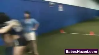 بوصة الديك نادي رياضي الديك صغير