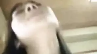 غطاء xnxx الصيني