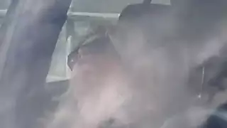 نيك باط المشعر