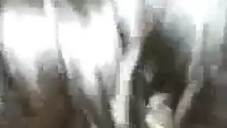 سورية مربربة راكبه فوق الزب