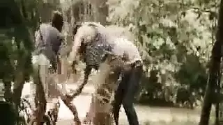 monster cock action: an ebony god fucks hard