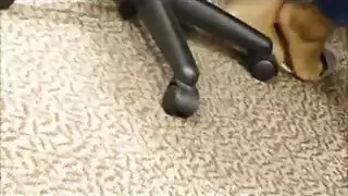 إباحية عبادة القدم: فم بيكا وأخمص قدميها في العمل