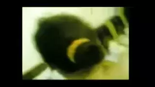 سكس جديدة عتصاب ساخنة حتي يصرخ بصوت عالي جدا