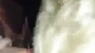 ماري تمتص قضيب رجل آخر بلطف بينما هو يستعد لممارسة الجنس مع مؤخرتها الضيقة