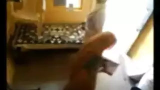 جماع عجوز عنيف مع مراهقة