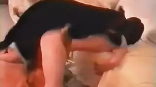 بورن حيوانات صعب مع عابرة جنسياً وكلب