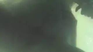 سكس عالمي للبدينات بث مجاني فوري