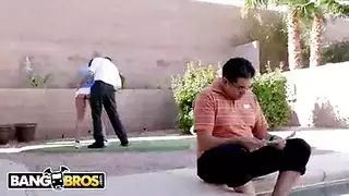 مدرب ينيك تلمزتو