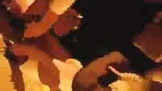 فيديو تركي صريح خيال إدخال مزدوج