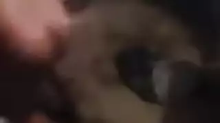 نيك ريمة الخاص يصبح علنياً في شريط جنسي مسرب