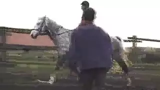 فيديوهات، جنواب،سودان