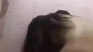 الشاب المصري وحبيبته في حركة كلبية حارة وحميمة