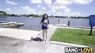 الديك الأسود الحمار الكبير