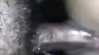 عاهرة الرسوم تركب قضيبًا صلبًا قبل الاختراق الشرجي