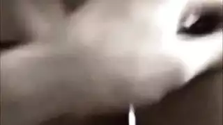 مراهقة تستعرض وتتناول قضيبًا صلبًا