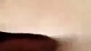 الحقيقة الشرج مشعرات فوضوي