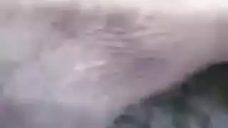 شرجي كمال الاجسام فتاة الملاعين غي