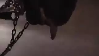 نزعتها لحلماتي المتصلبة وذلك البلوزة فيلم إباحي