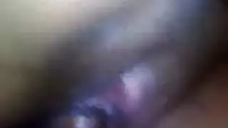 صطيفي