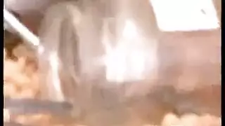 مضحك انتقام مطبخ