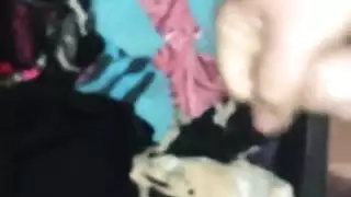 سراويل أمي الدانتيل تثير قضيبي الصلب